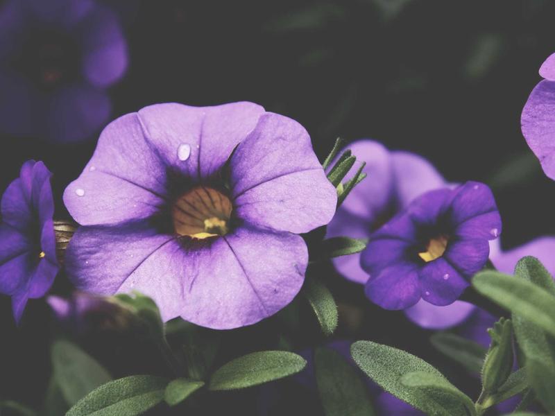 sudoku sound effects