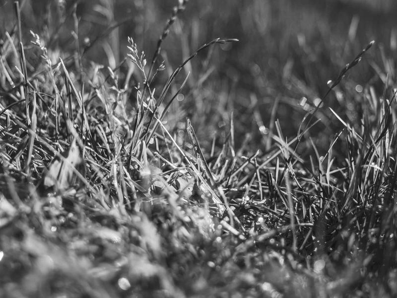 sudoku retro theme screenshot 4